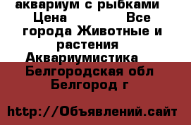 аквариум с рыбками › Цена ­ 15 000 - Все города Животные и растения » Аквариумистика   . Белгородская обл.,Белгород г.